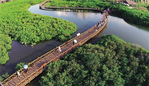 无悟冰淇淋