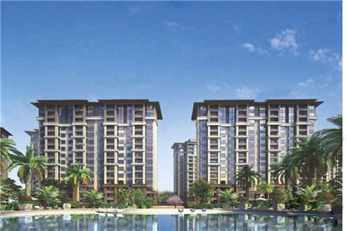 澳美徕澳门花胶鸡