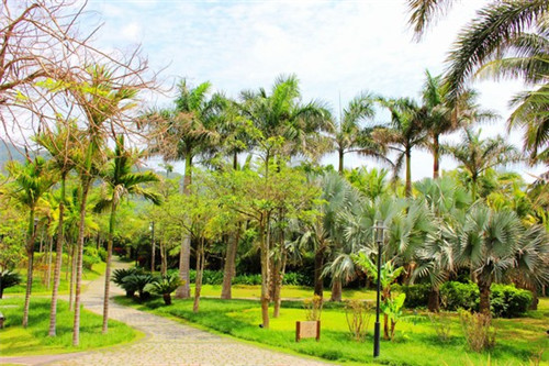 咕嘟吧台小火锅