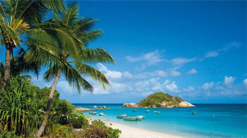 加盟滋活披萨怎么进货