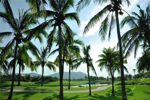 木子衣橱加盟费多少