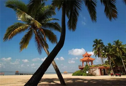 我什么歌好听的英文歌（什么好听的英语歌）