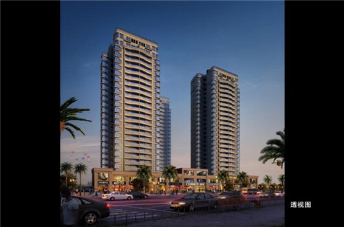 办护照怎么起名字好（护照证件名称怎么填写）