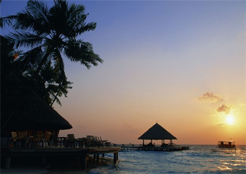 蚂蚁庄园正确答案在哪看（蚂蚁庄园答案在哪里看）