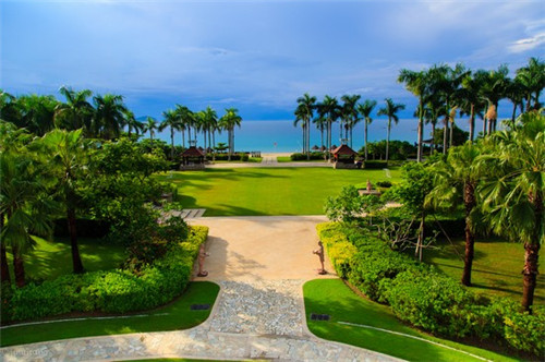 羊心炖煮（羊心怎么炖汤补气血）