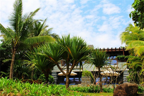 宠物店端午节做什么活动（宠物店端午节放假吗）