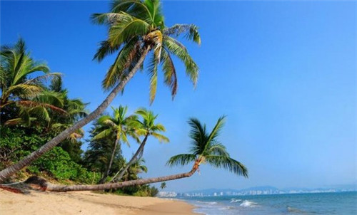 肖姓男双胞胎如何起名（肖姓男孩两个字名字大全）